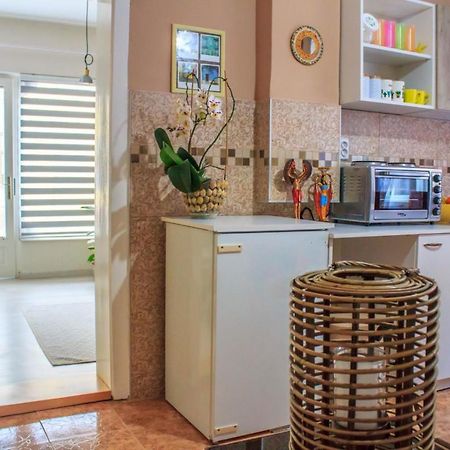 Bb Downtown Apartment Bajina Basta Exterior photo