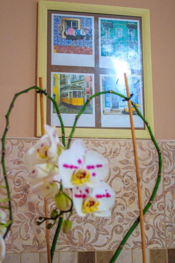 Bb Downtown Apartment Bajina Basta Exterior photo